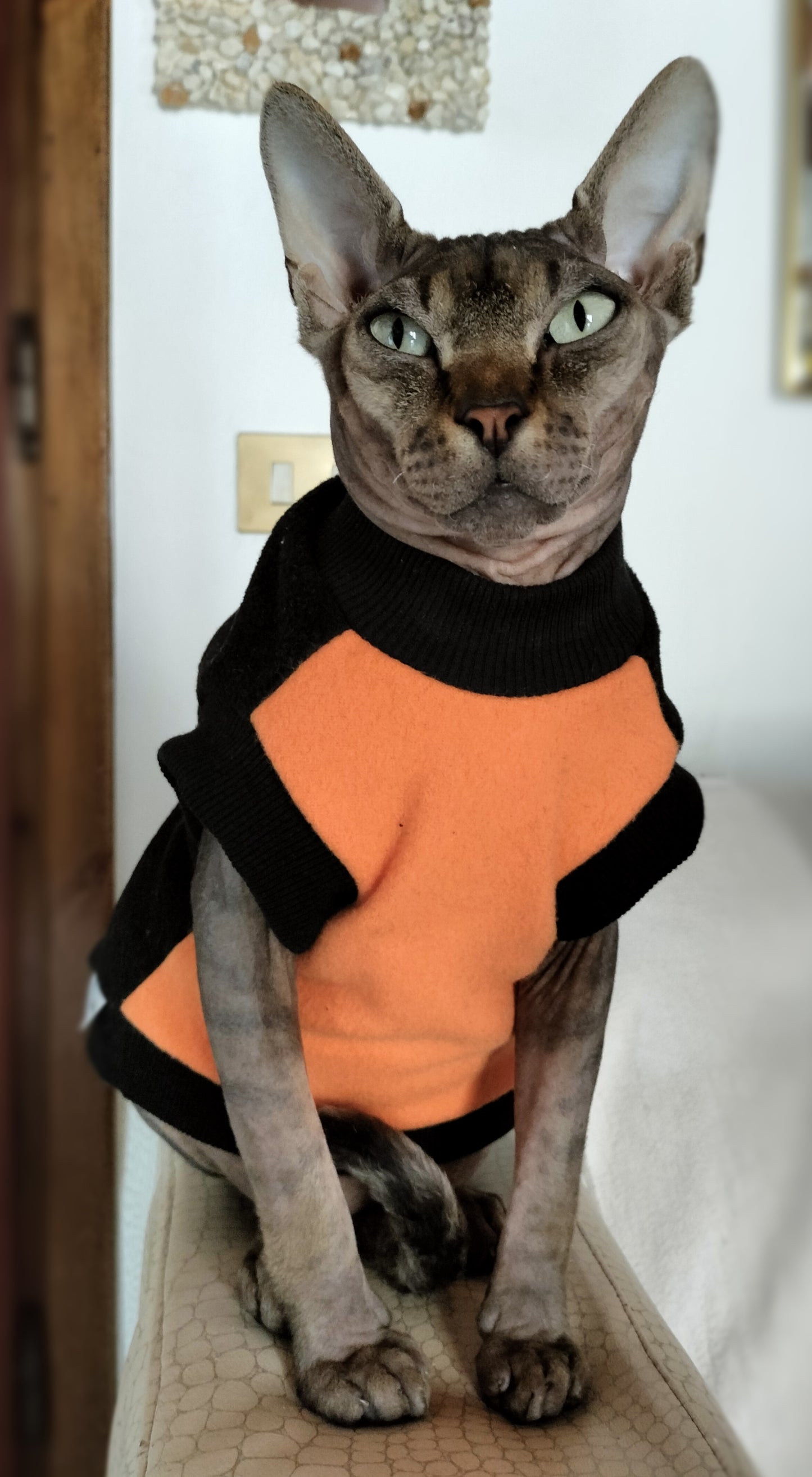VESTITI A TEMA: PILE HALLOWEEN ZUCCA