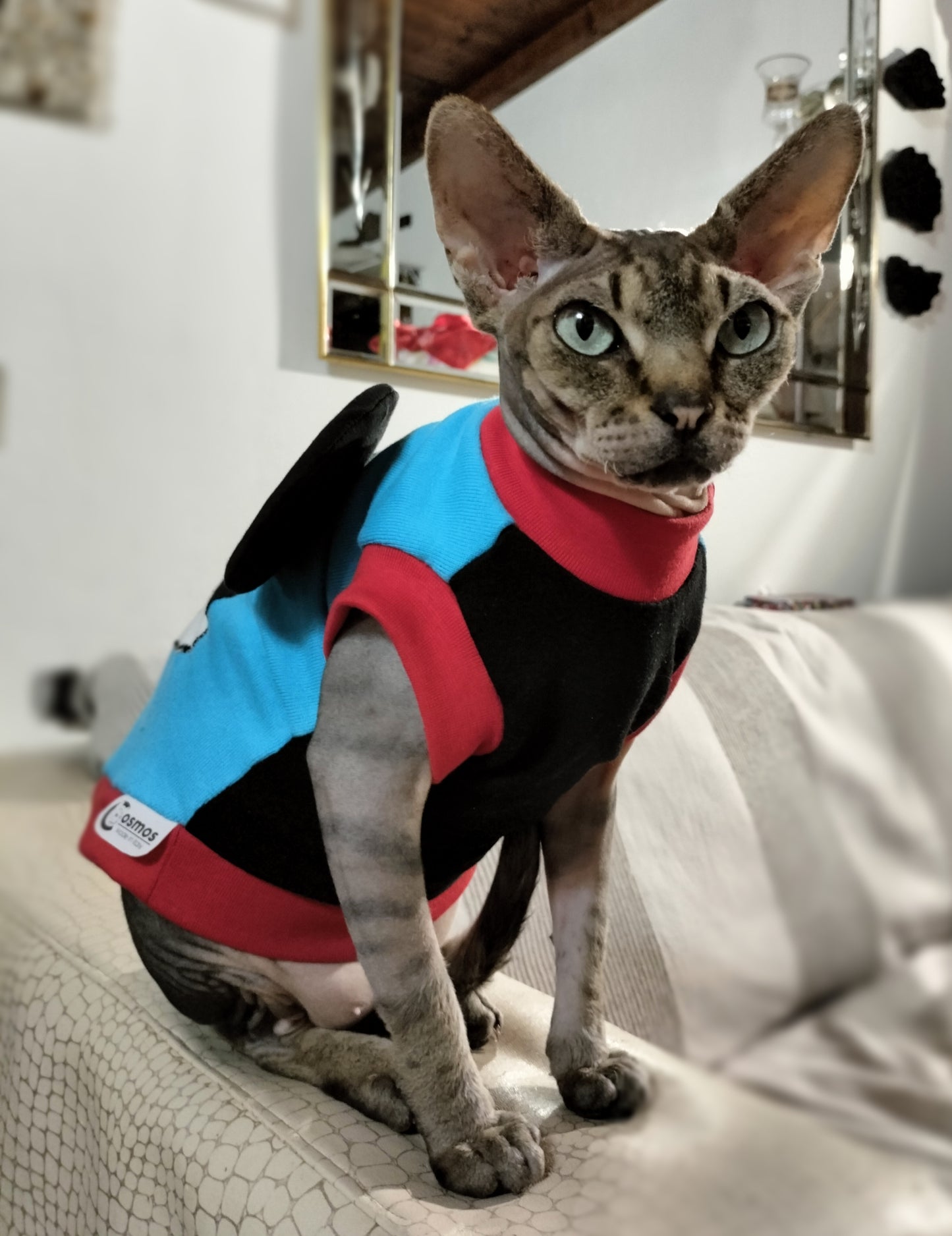 VESTITI A TEMA: FELPA TOPOLINO
