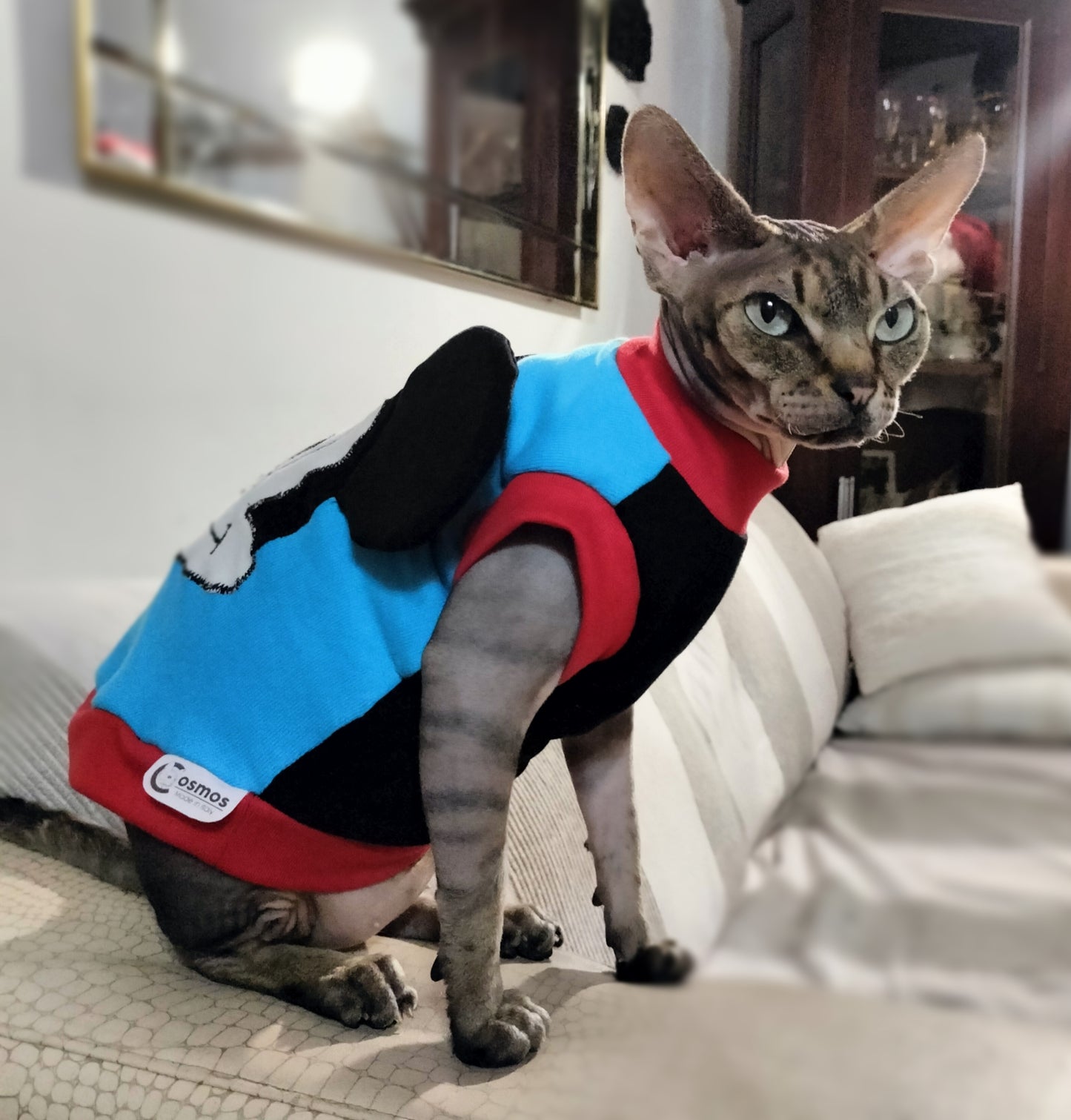 VESTITI A TEMA: FELPA TOPOLINO