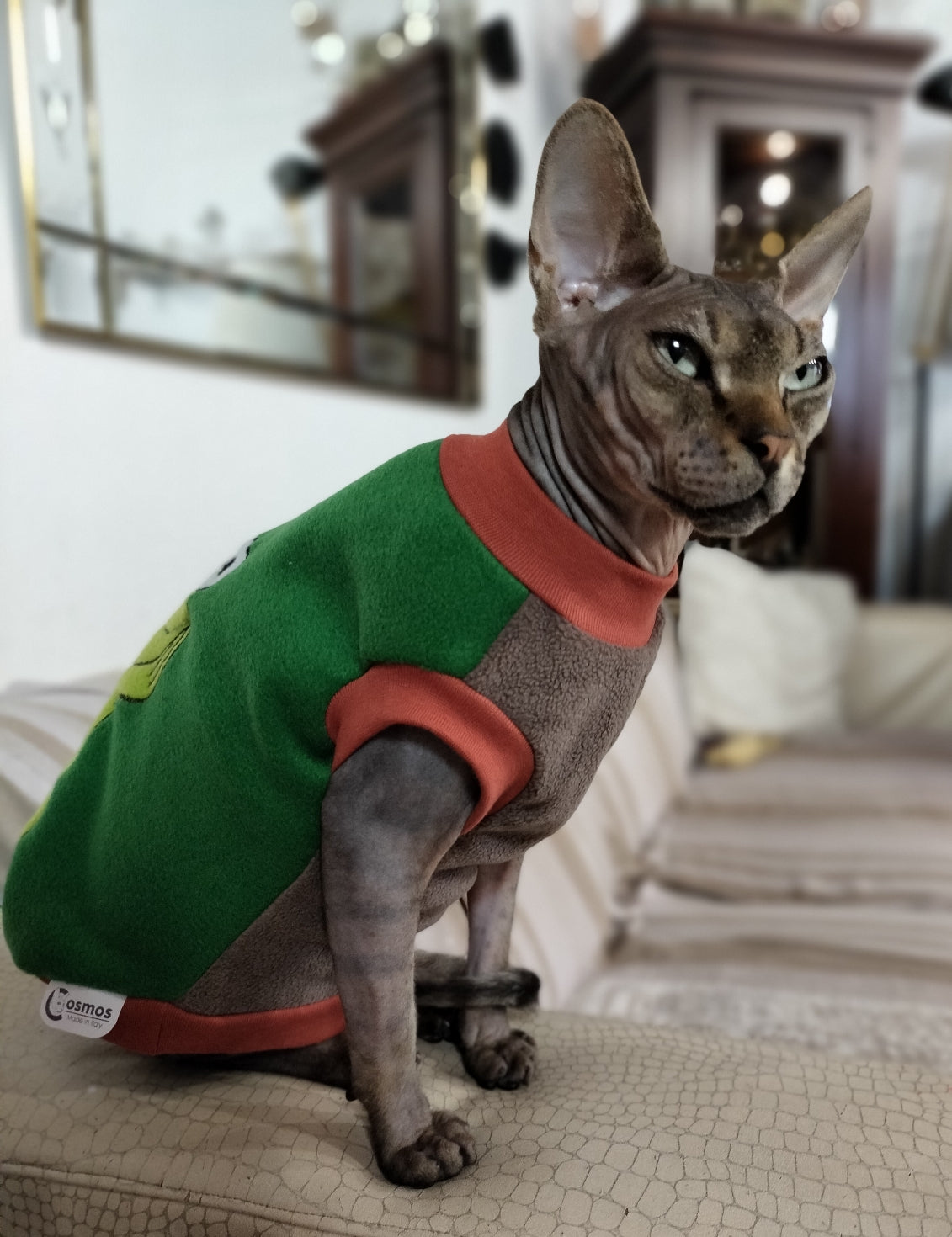 VESTITI A TEMA: PILE KERMIT PENSIEROSO