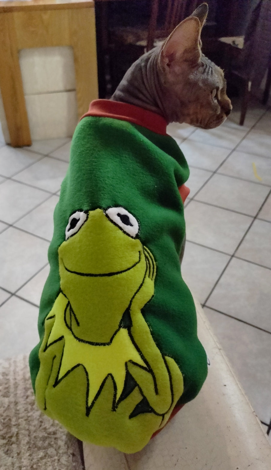 VESTITI A TEMA: PILE KERMIT PENSIEROSO