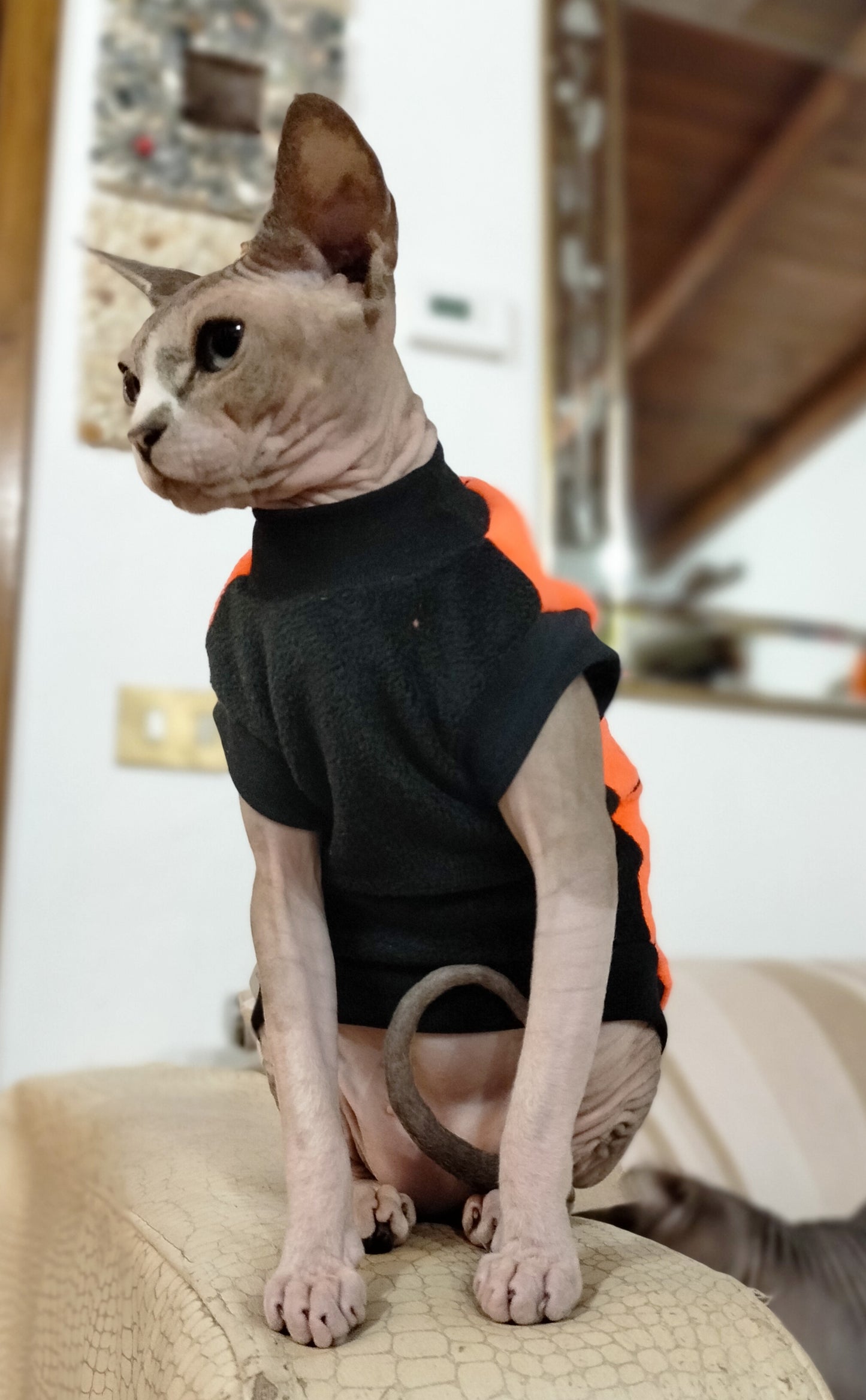 VESTITI A TEMA: PILE HALLOWEEN RAGNETTI INNAMORATI