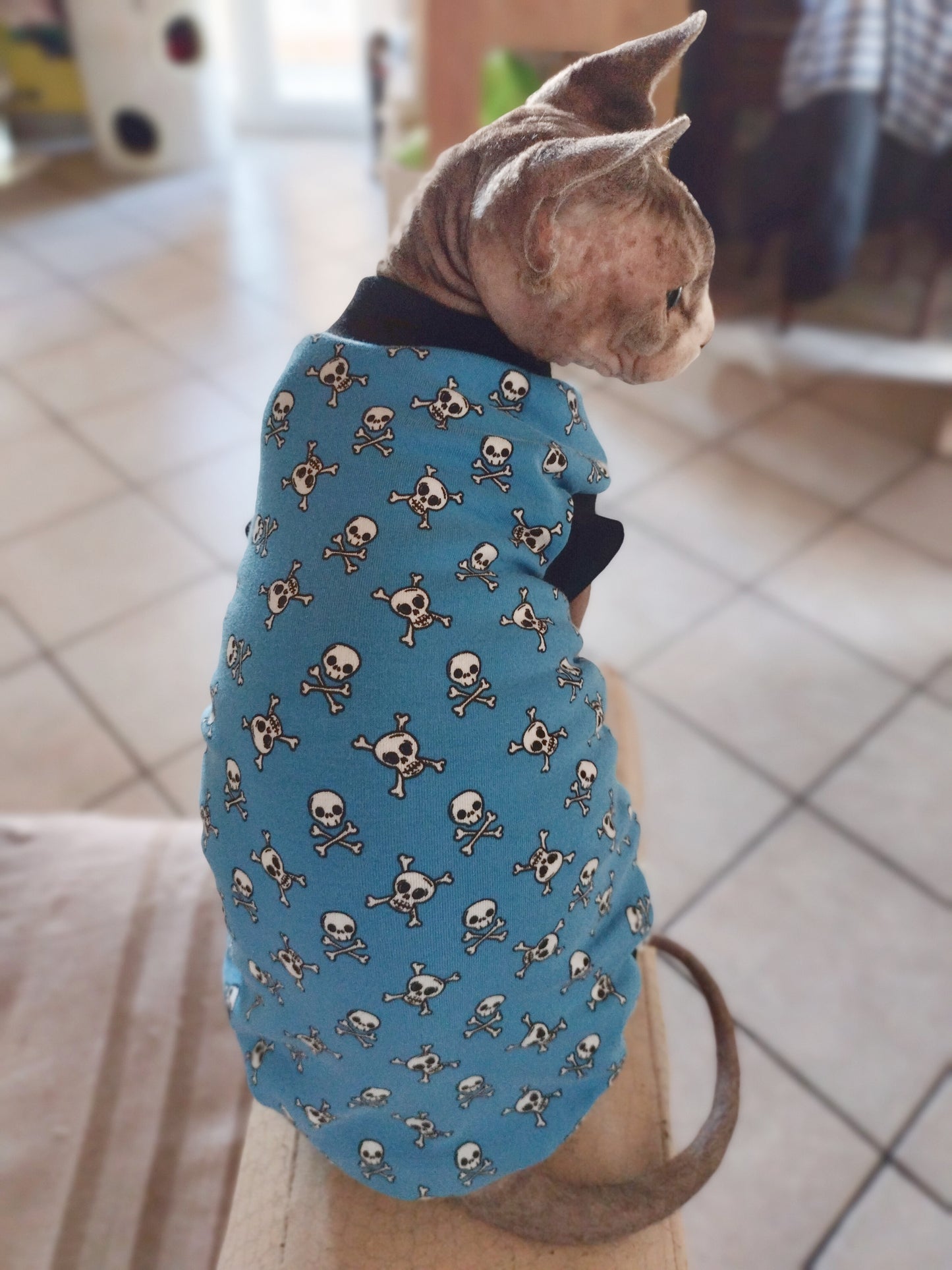 JERSEY in cotone TESCHIETTI FONDO BLUETTE