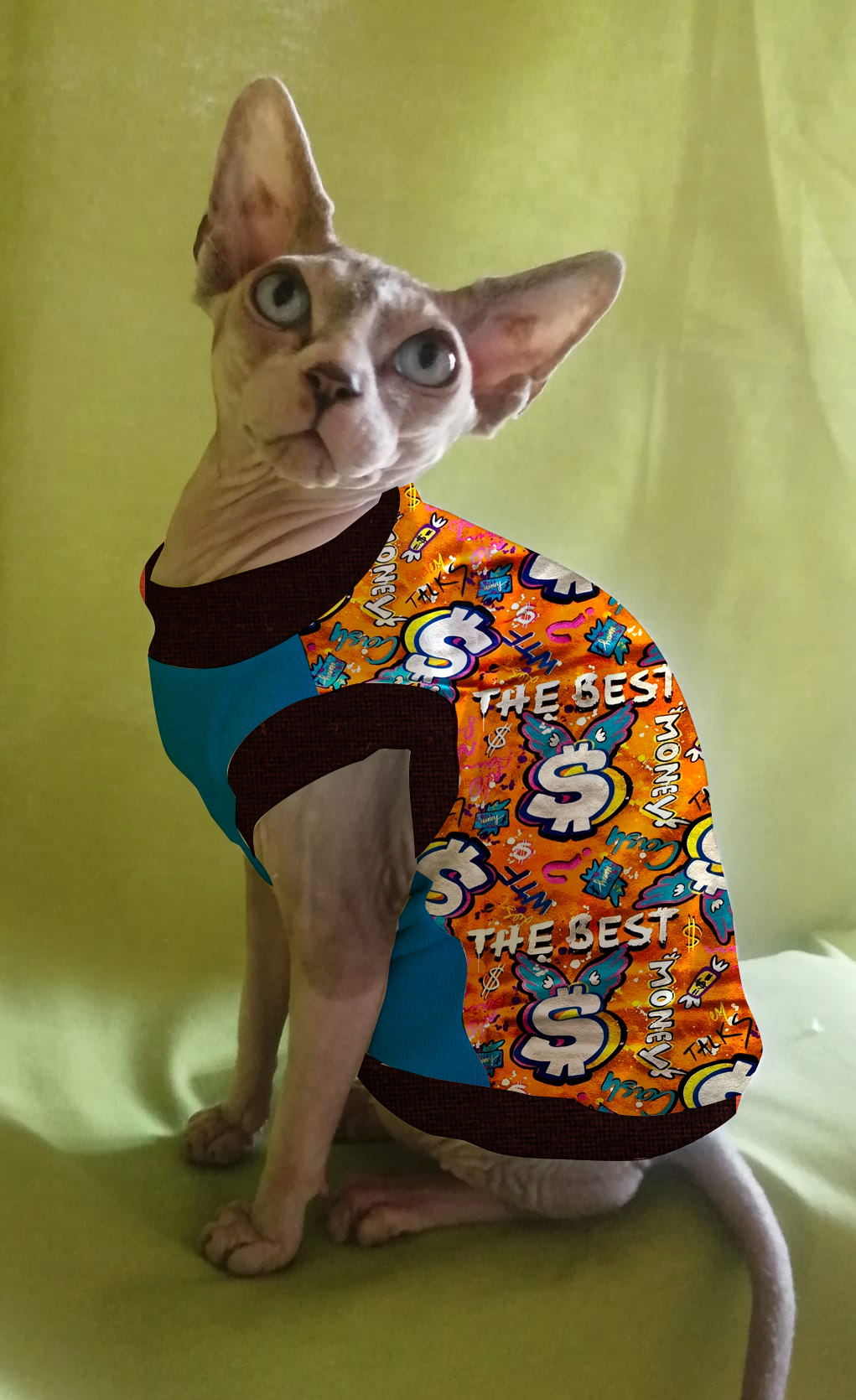 JERSEY in cotone DOLLARI (152)