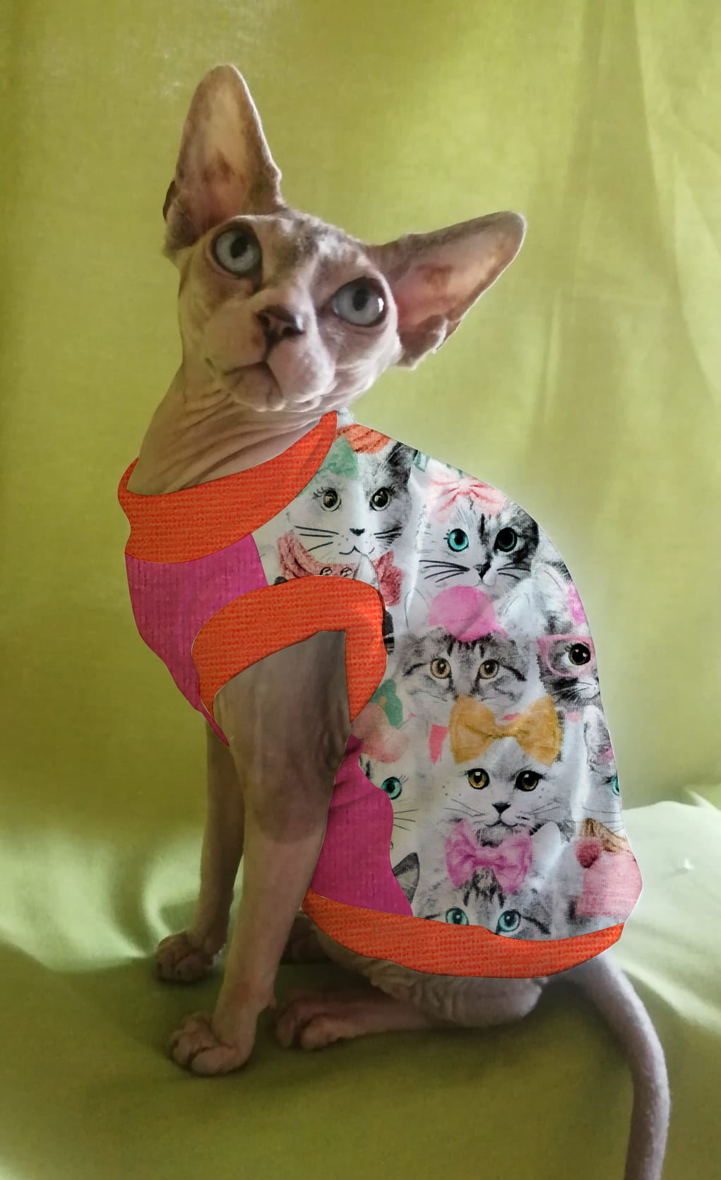 JERSEY in cotone FACCINE GATTI (113)