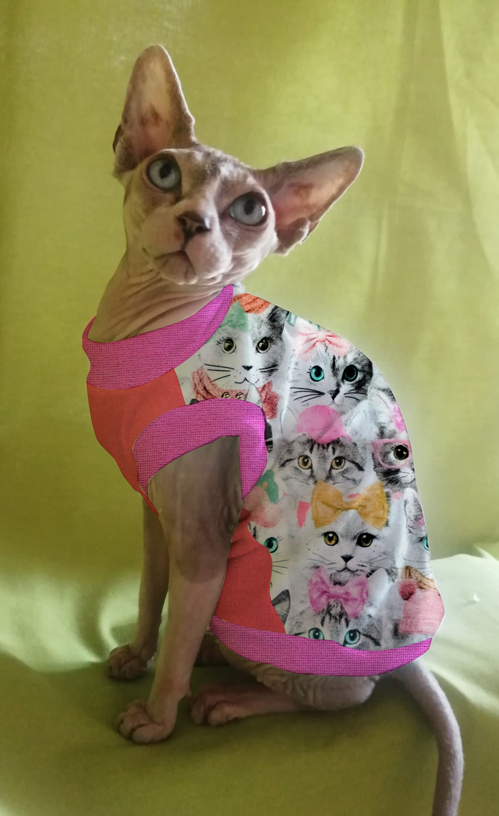 JERSEY in cotone FACCINE GATTI (113)