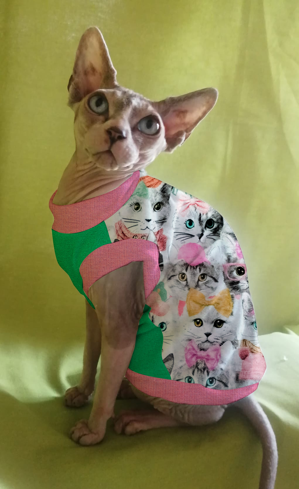 JERSEY in cotone FACCINE GATTI (113)