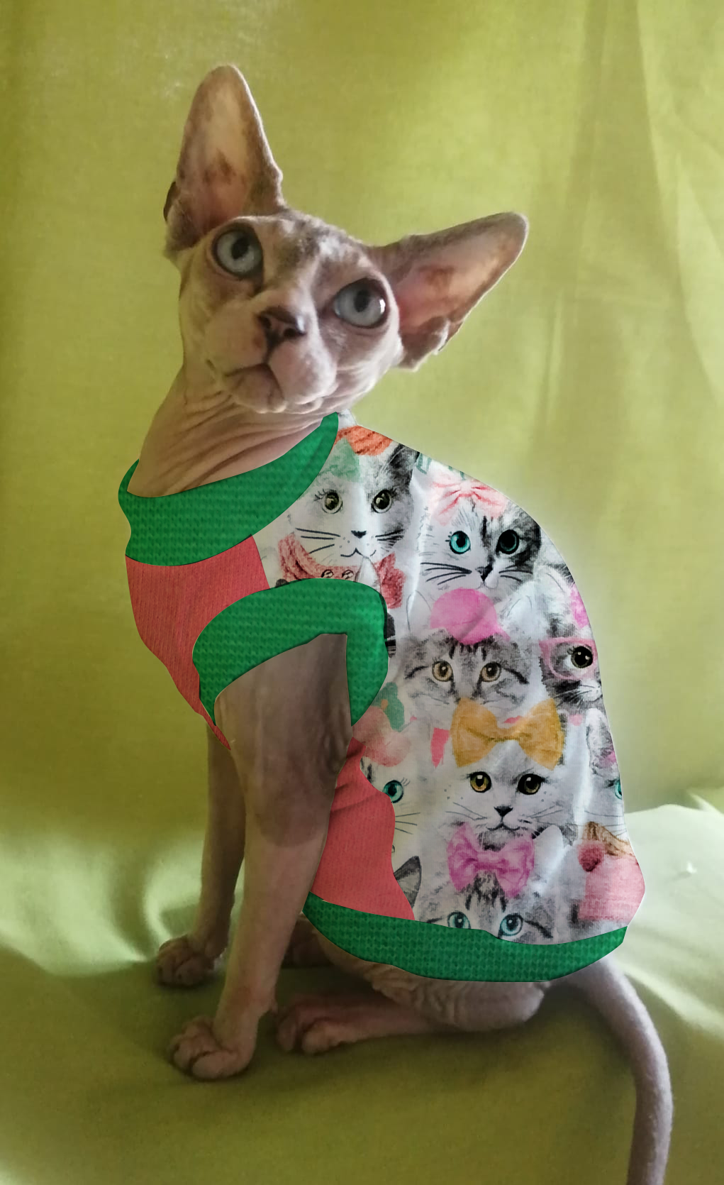 JERSEY in cotone FACCINE GATTI (113)