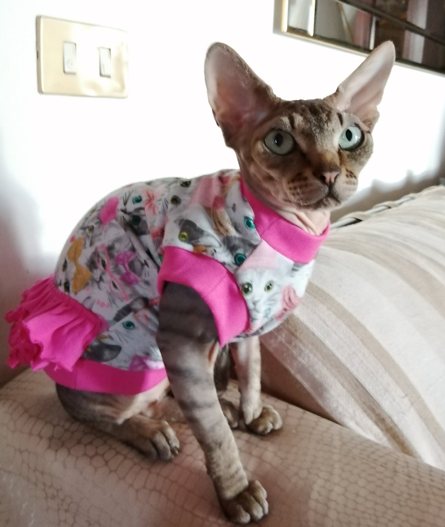 JERSEY in cotone FACCINE GATTI (113)