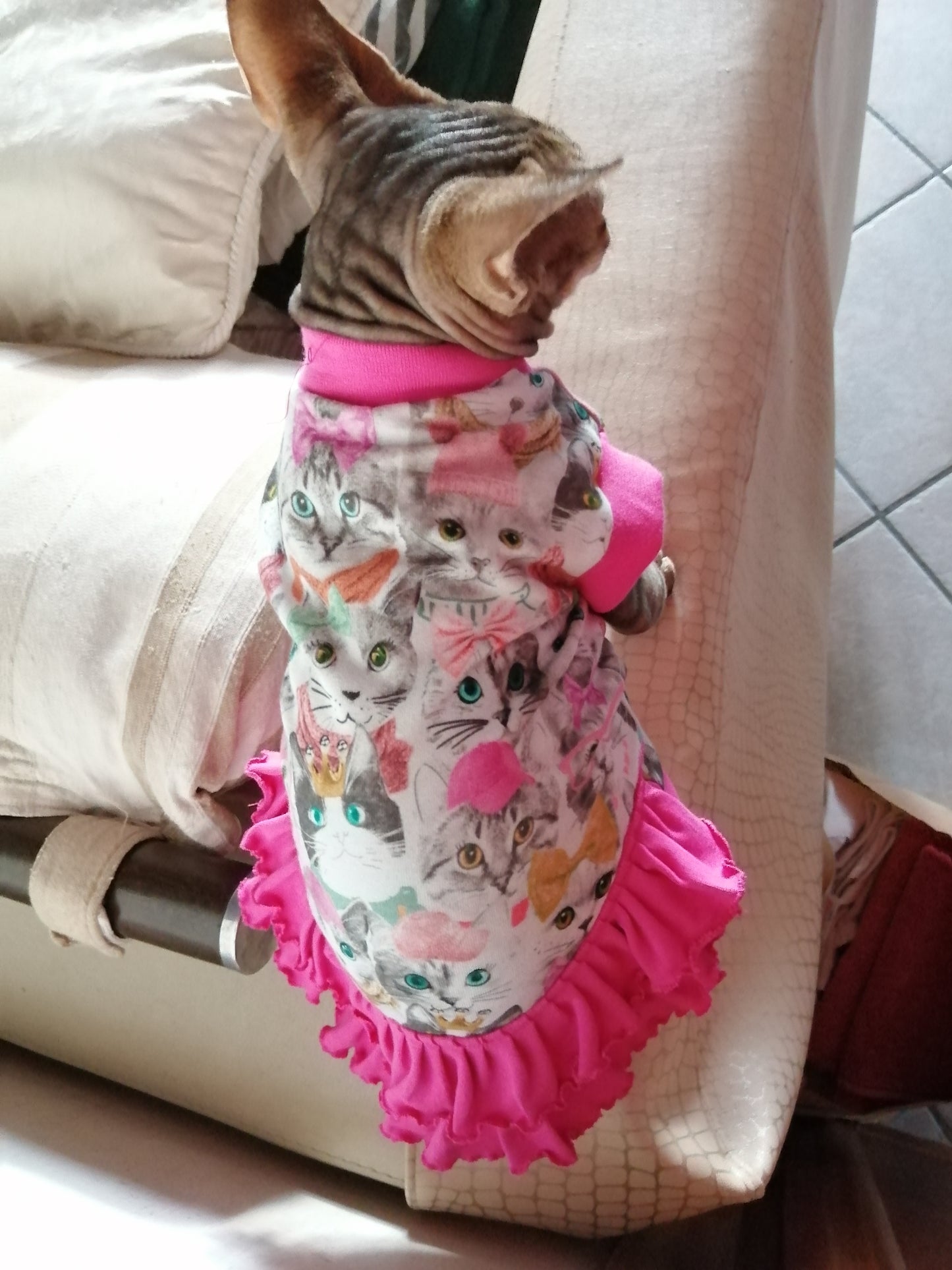 JERSEY in cotone FACCINE GATTI (113)