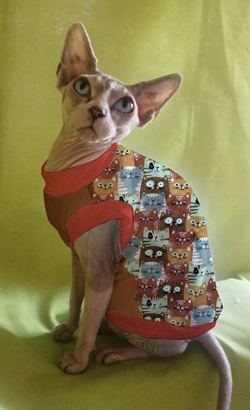 JERSEY in cotone GATTI CARAMELLO (138)