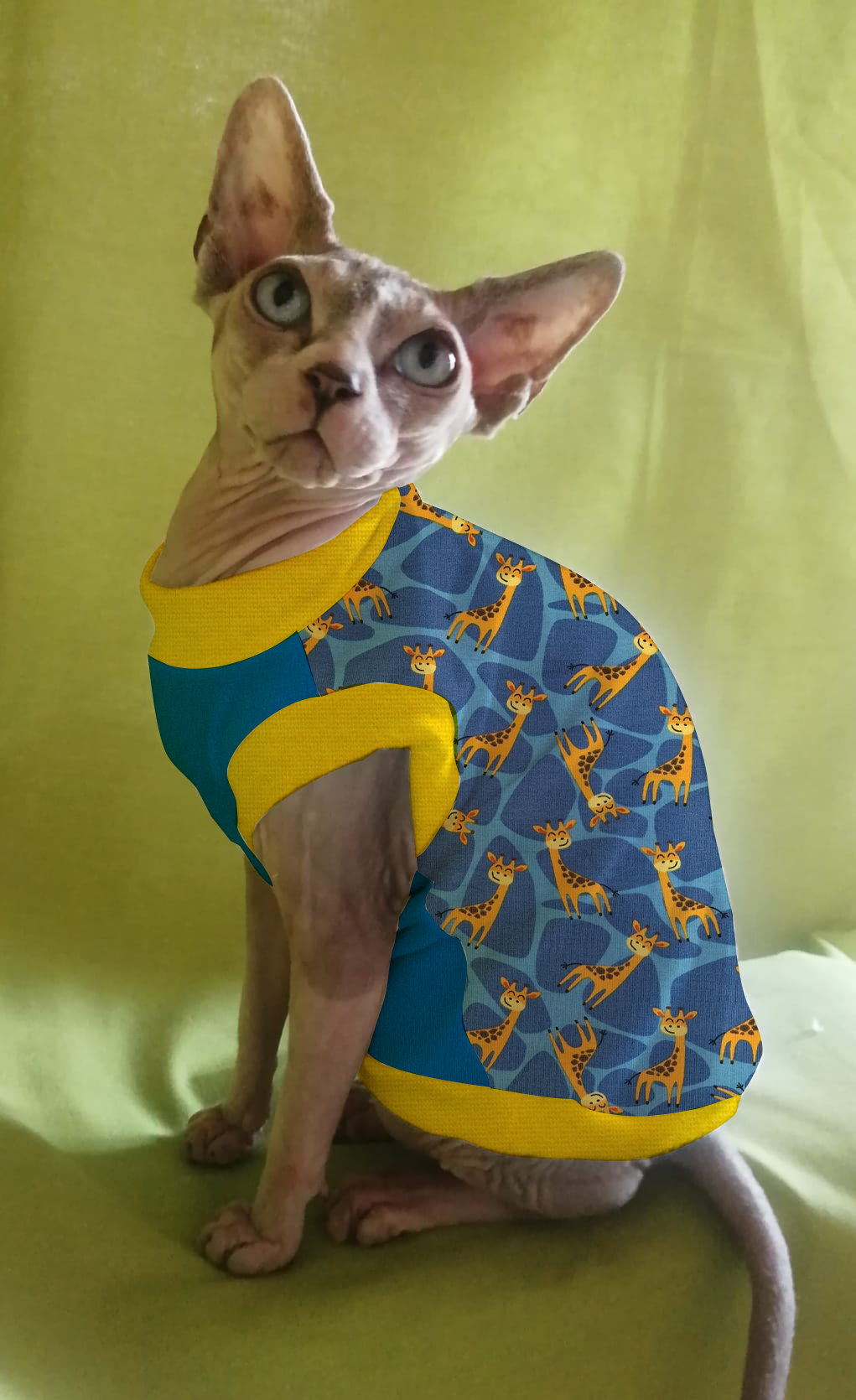 JERSEY in cotone GIRAFFE (105)