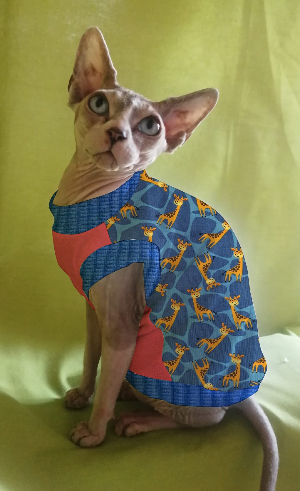 JERSEY in cotone GIRAFFE (105)