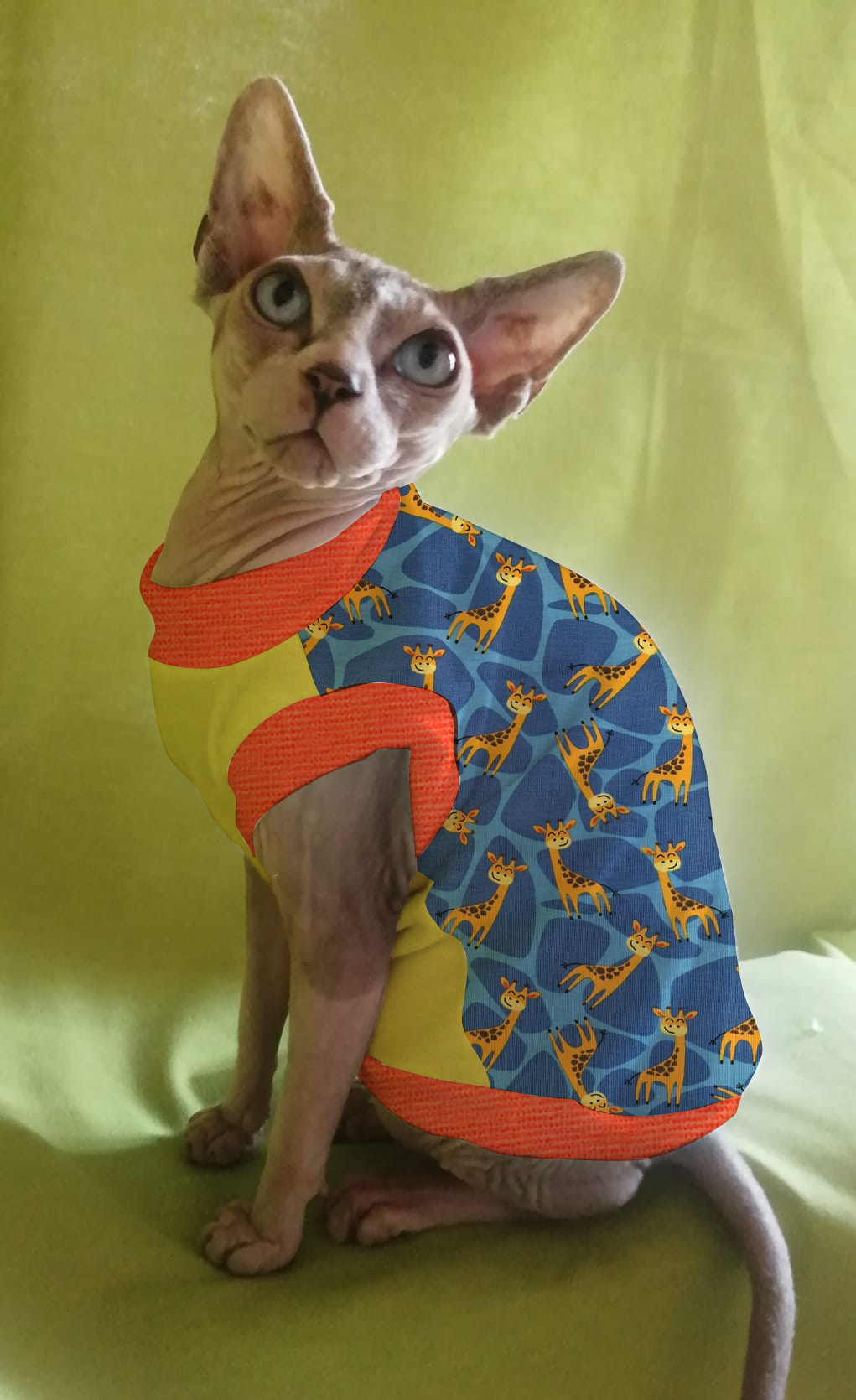 JERSEY in cotone GIRAFFE (105)