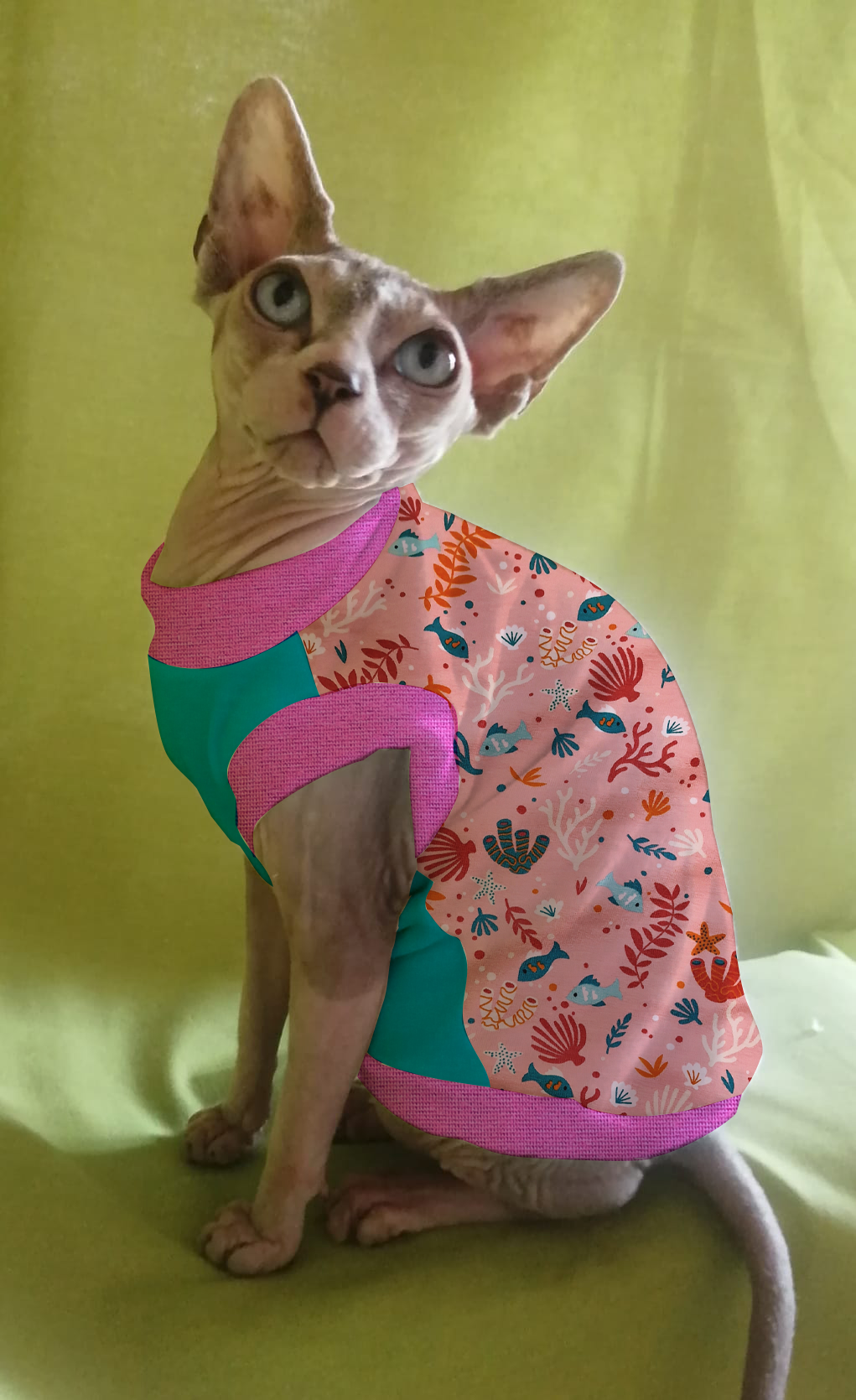 JERSEY in cotone MARE ROSA (144)