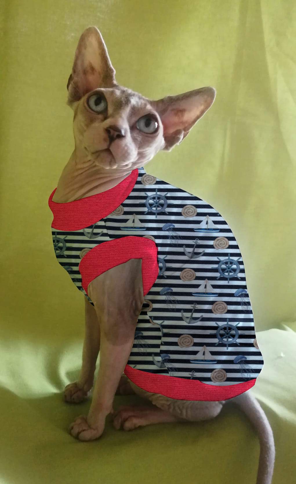 JERSEY in cotone MARINAIO (135)