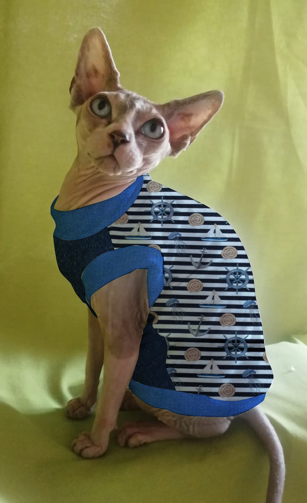JERSEY in cotone MARINAIO (135)