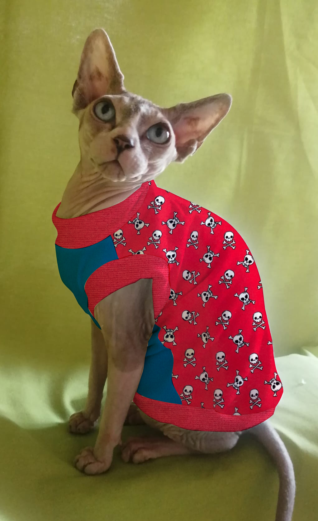JERSEY in cotone TESCHIETTI FONDO ROSSO