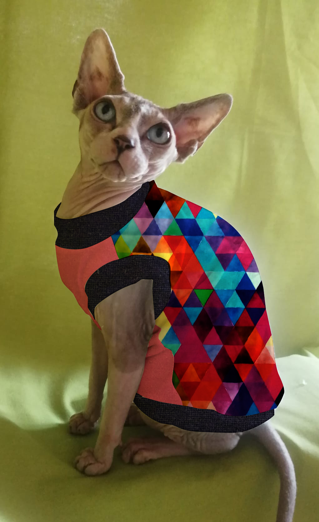 JERSEY in cotone TRIANGOLI MIX MULTICOLOR (101)