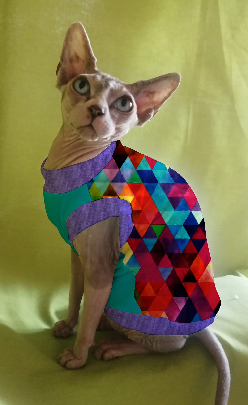JERSEY in cotone TRIANGOLI MIX MULTICOLOR (101)