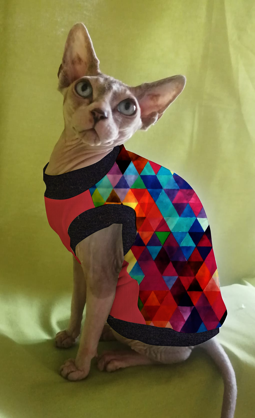 JERSEY in cotone TRIANGOLI MIX MULTICOLOR (101)
