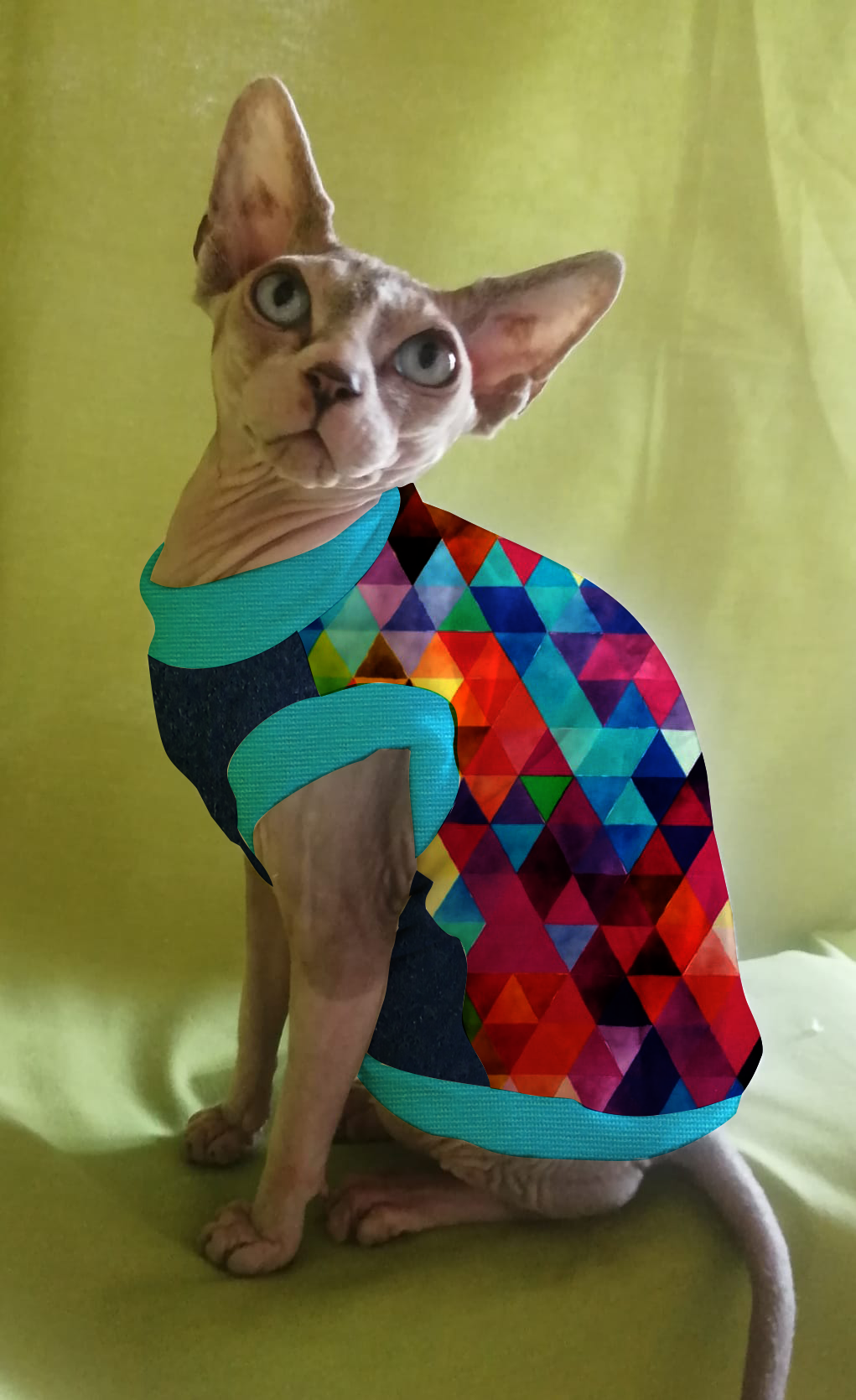 JERSEY in cotone TRIANGOLI MIX MULTICOLOR (101)