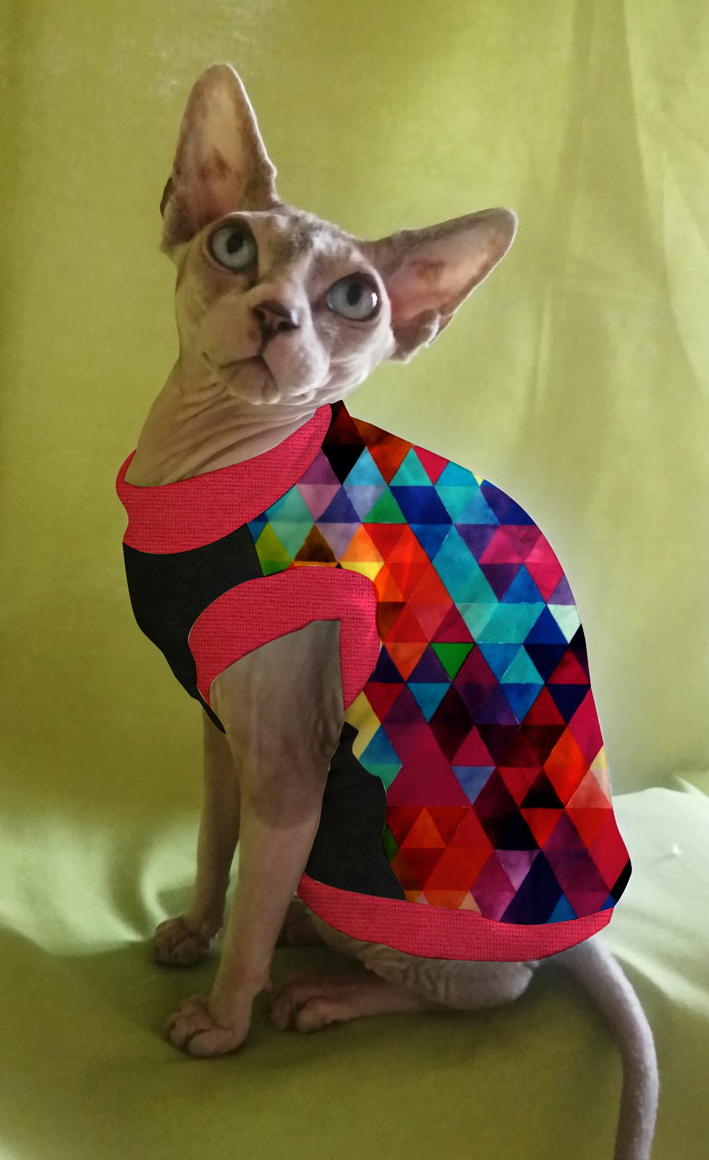 JERSEY in cotone TRIANGOLI MIX MULTICOLOR (101)