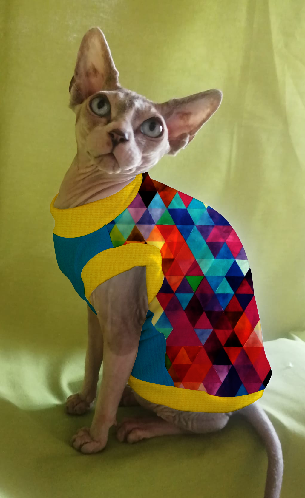JERSEY in cotone TRIANGOLI MIX MULTICOLOR (101)