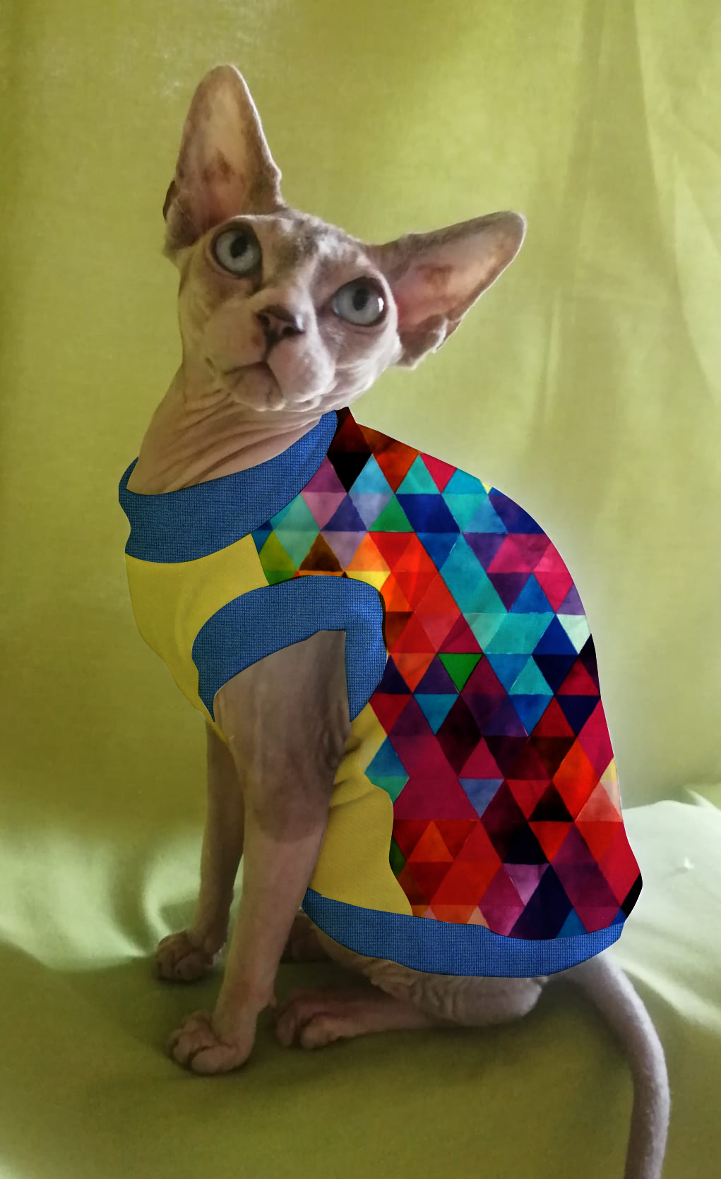 JERSEY in cotone TRIANGOLI MIX MULTICOLOR (101)