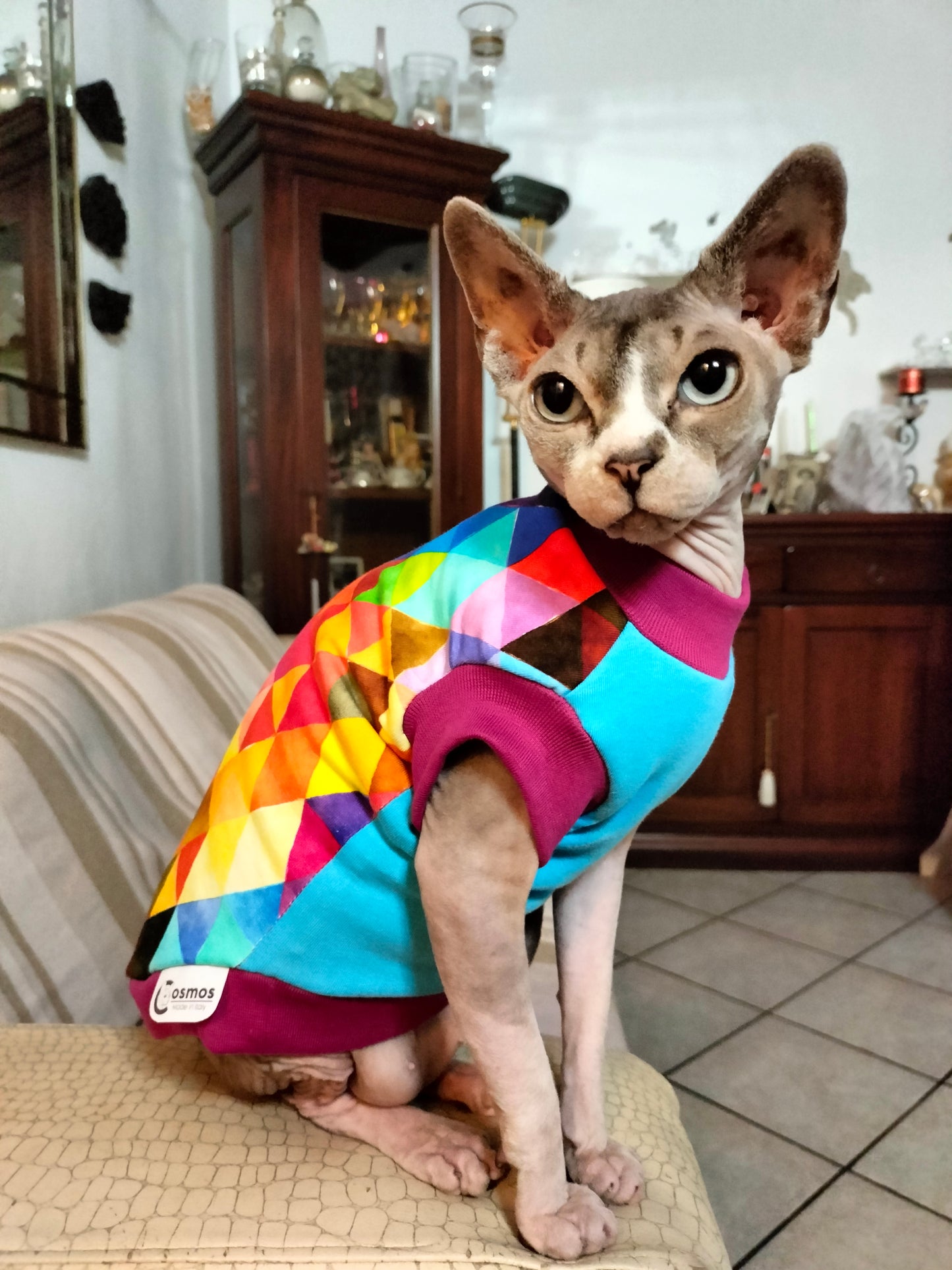 JERSEY in cotone TRIANGOLI MIX MULTICOLOR (101)