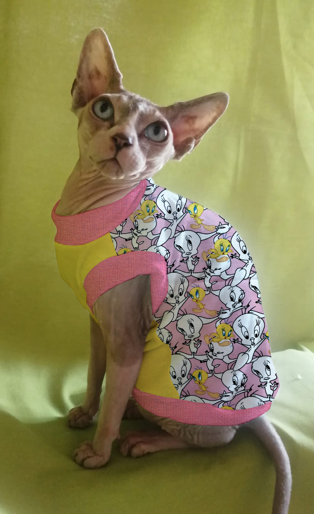 JERSEY in cotone TWEETY (142)