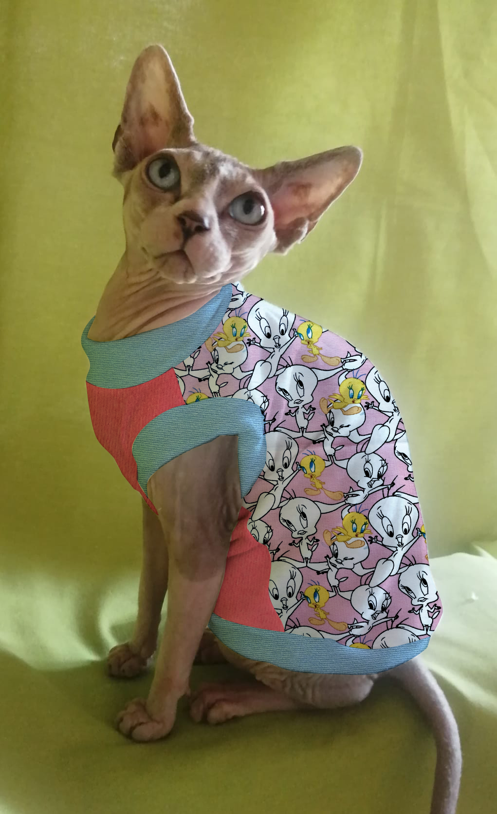JERSEY in cotone TWEETY (142)