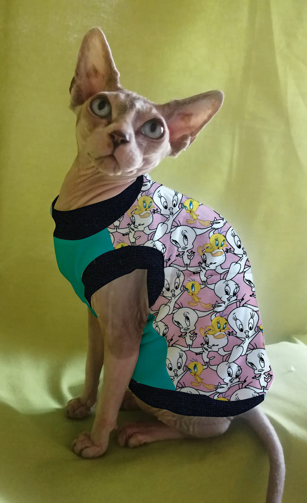 JERSEY in cotone TWEETY (142)