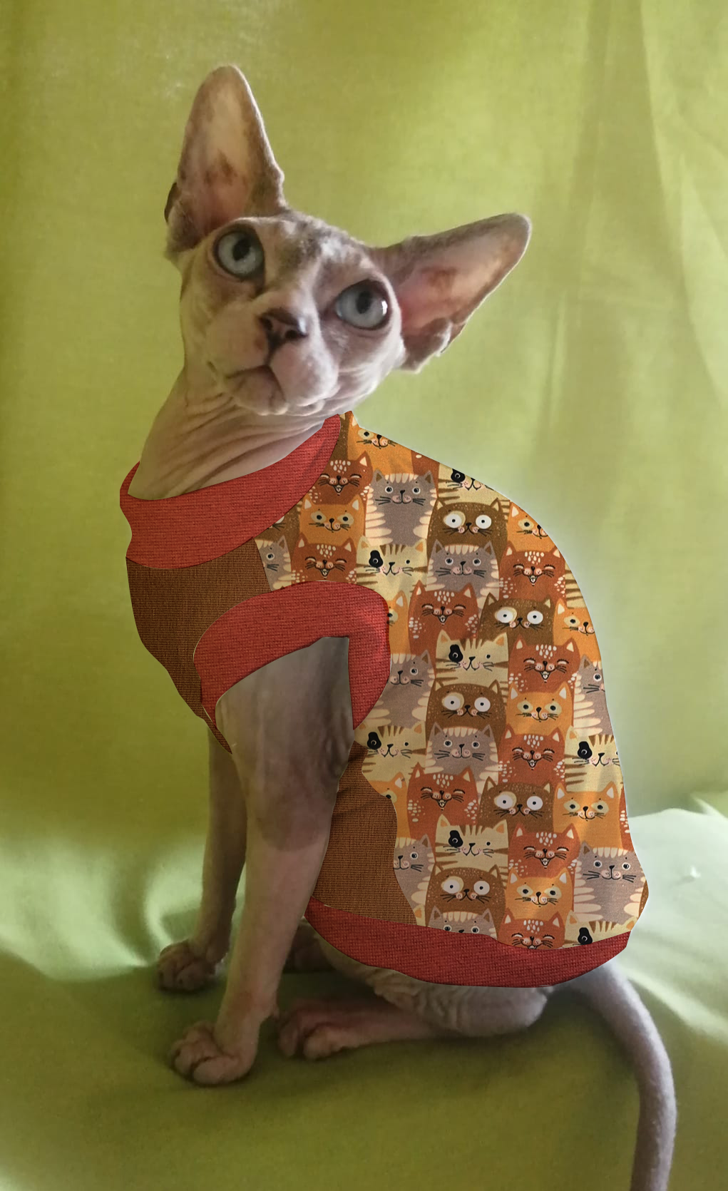 JERSEY in cotone GATTI CARAMELLO (138)