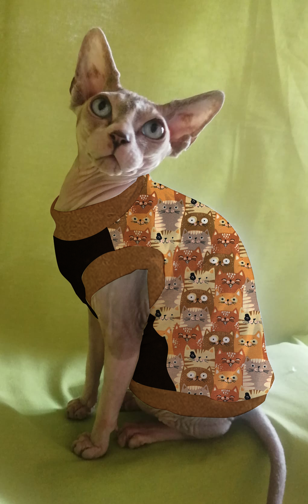 JERSEY in cotone GATTI CARAMELLO (138)