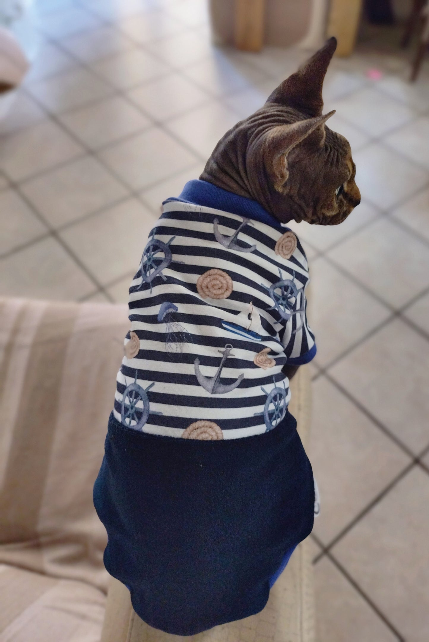 JERSEY in cotone MARINAIO (135)