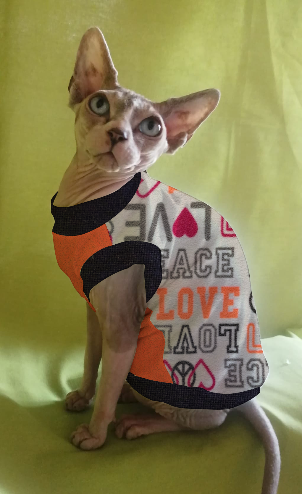 PILE NO PILLING PEACE & LOVE FONDO BIANCO (310)