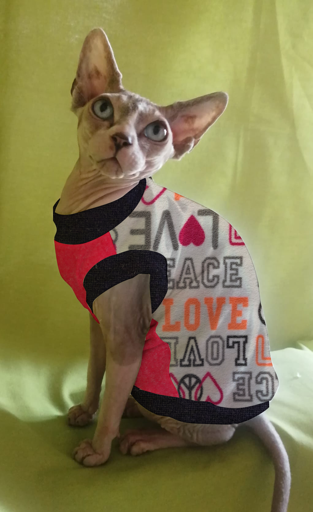 PILE NO PILLING PEACE & LOVE FONDO BIANCO (310)