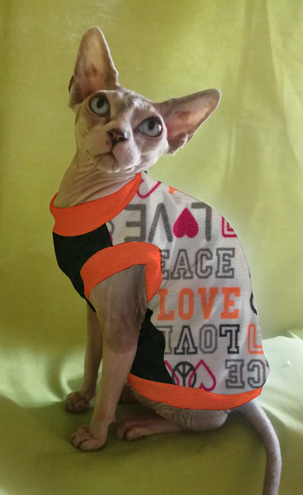 PILE NO PILLING PEACE & LOVE FONDO BIANCO (310)