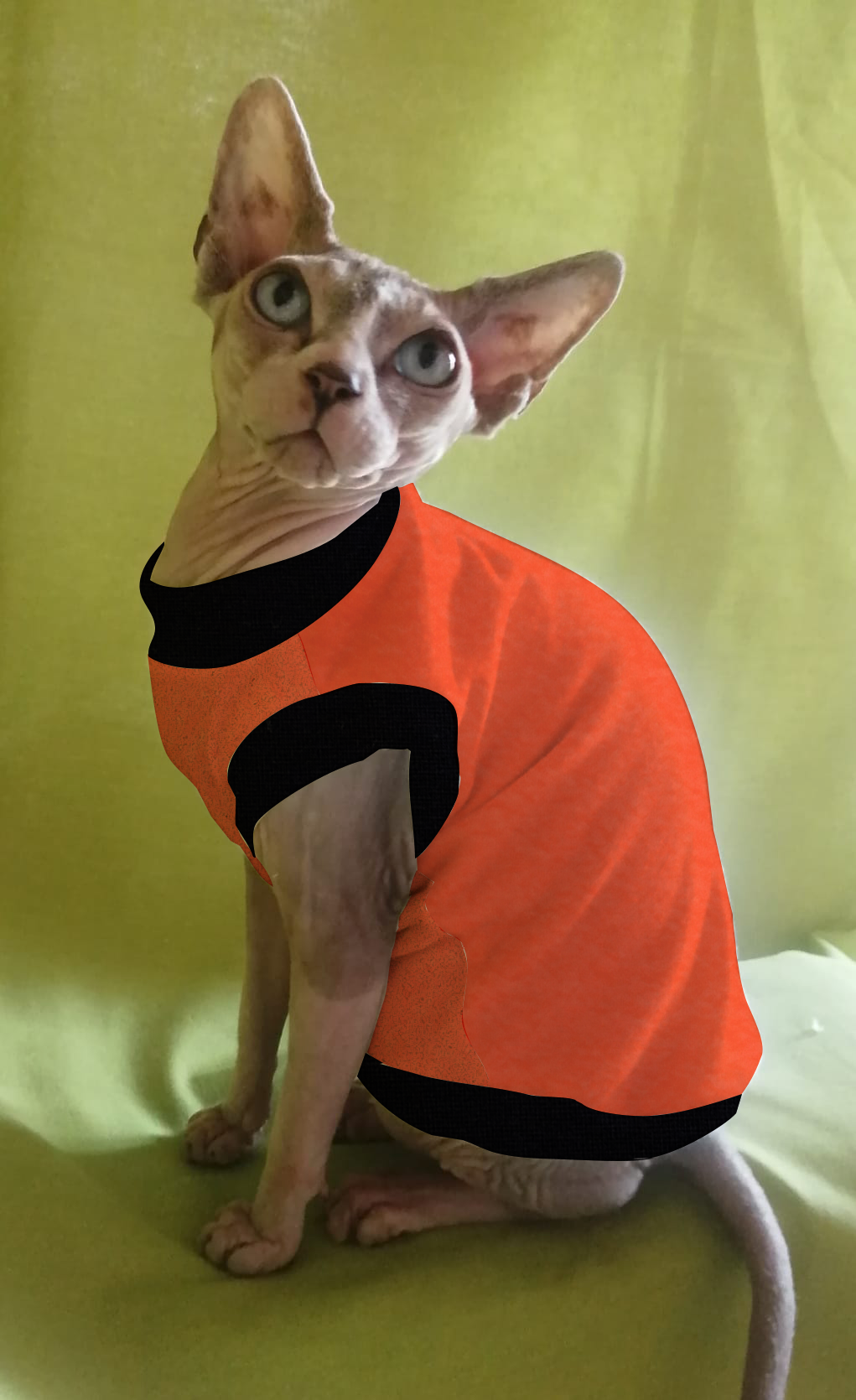 IN PROMOZIONE PILE TINTA UNITA