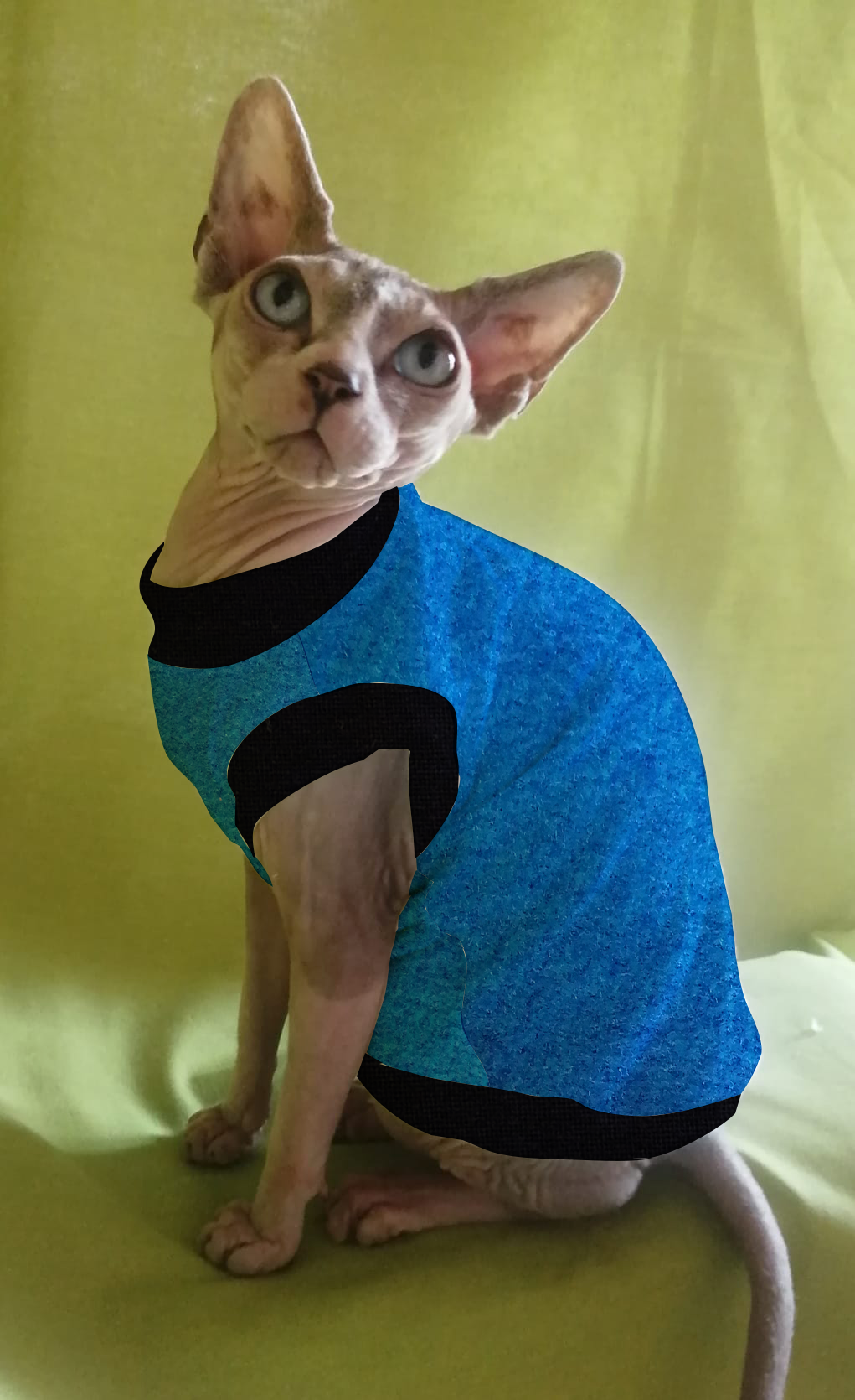 IN PROMOZIONE PILE TINTA UNITA