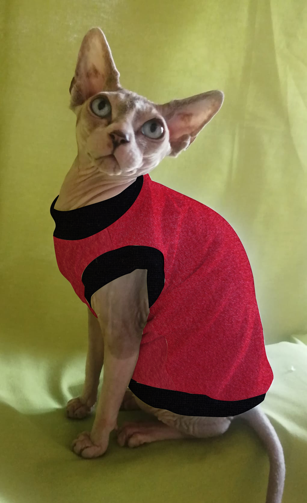 IN PROMOZIONE PILE TINTA UNITA