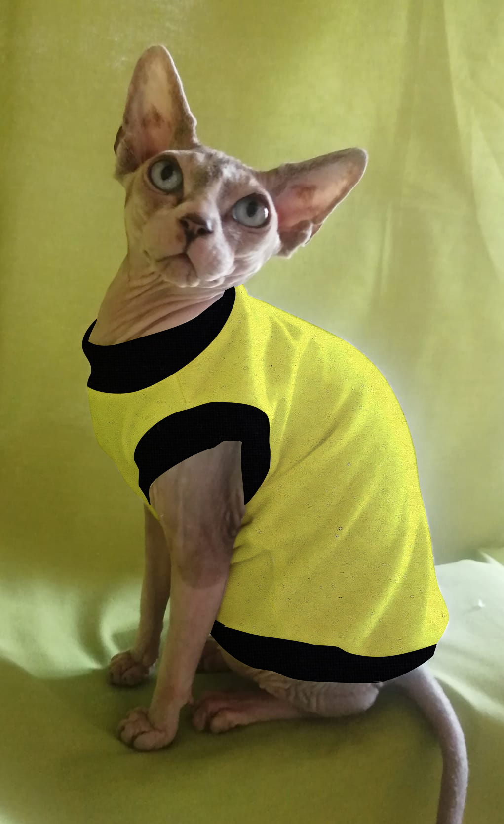 IN PROMOZIONE PILE TINTA UNITA