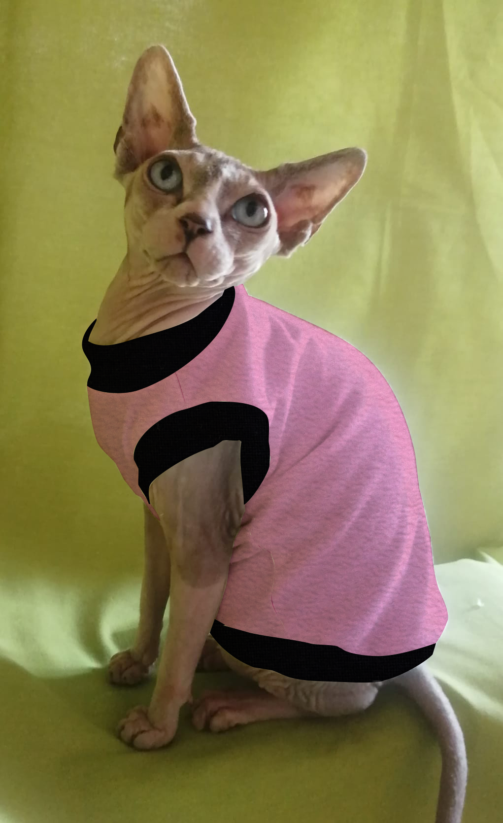 IN PROMOZIONE PILE TINTA UNITA