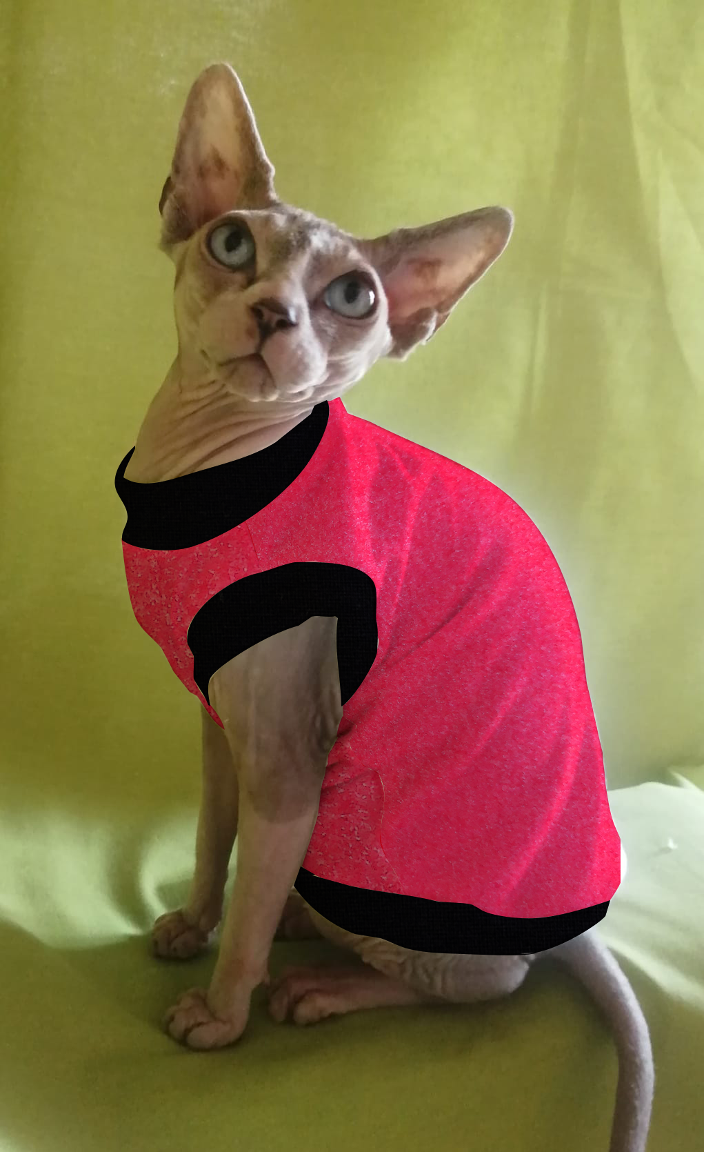 IN PROMOZIONE PILE TINTA UNITA