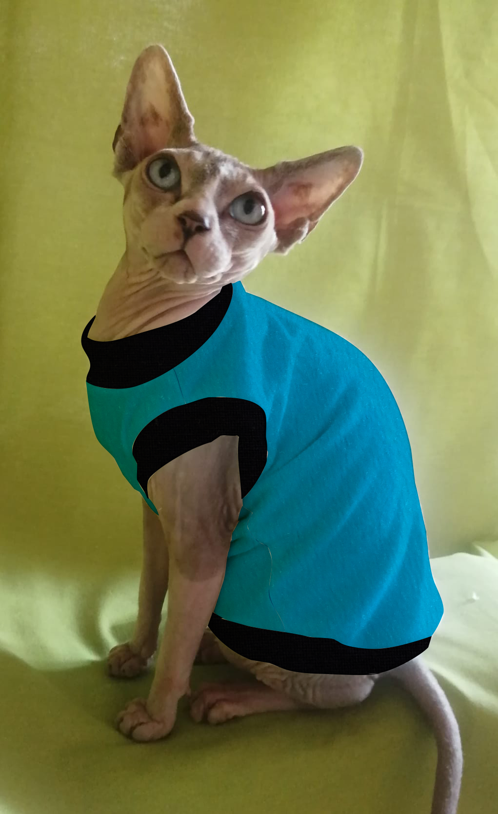 IN PROMOZIONE PILE TINTA UNITA