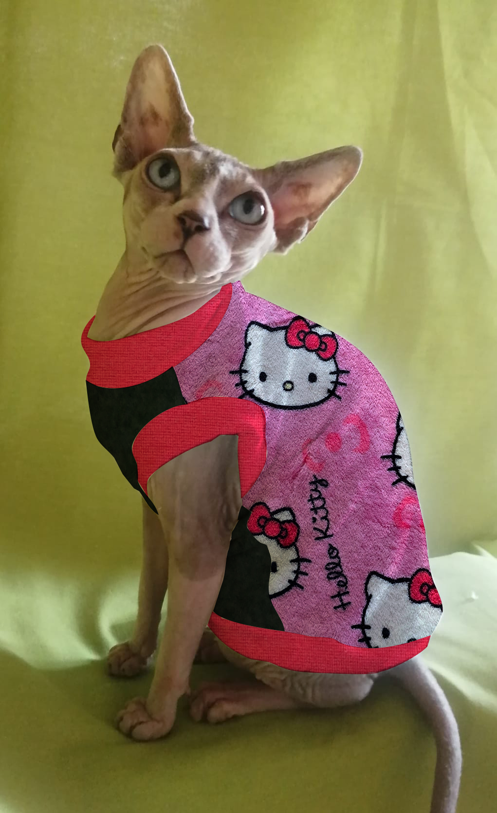 PILE CINIGLIATO HELLO KITTY (429)