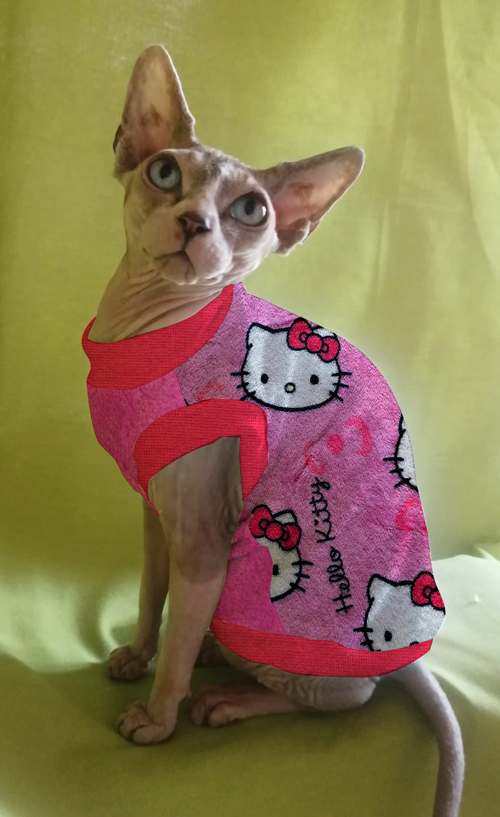 PILE CINIGLIATO HELLO KITTY (429)