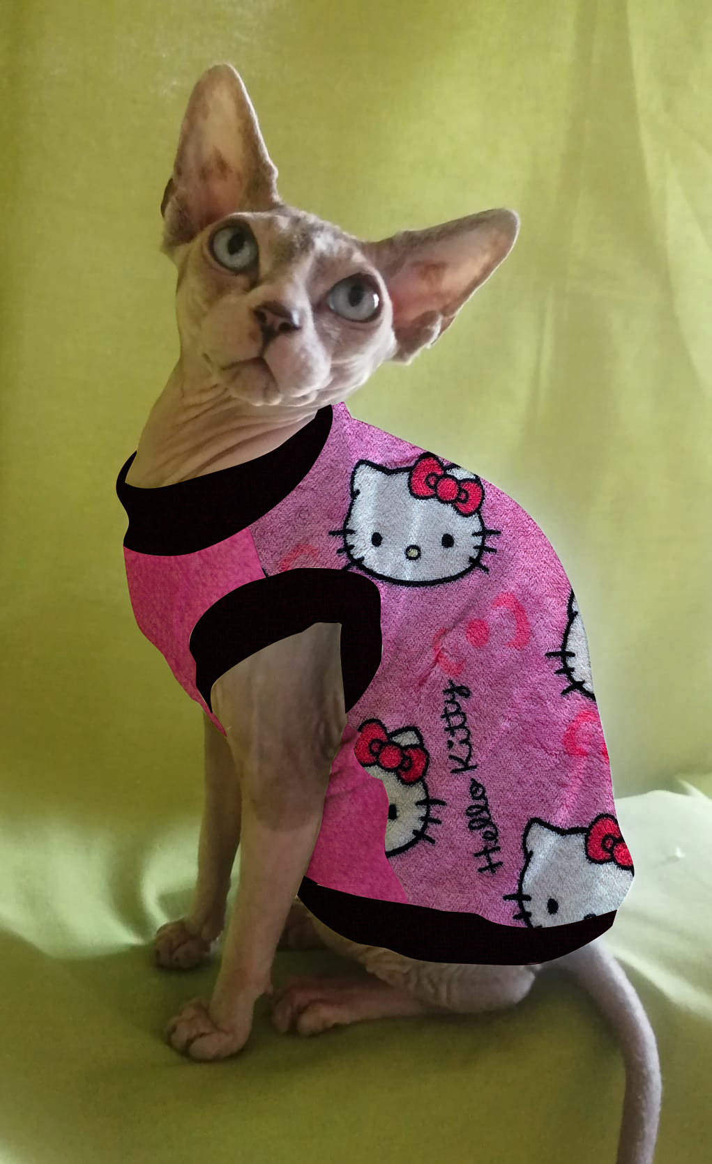 PILE CINIGLIATO HELLO KITTY (429)