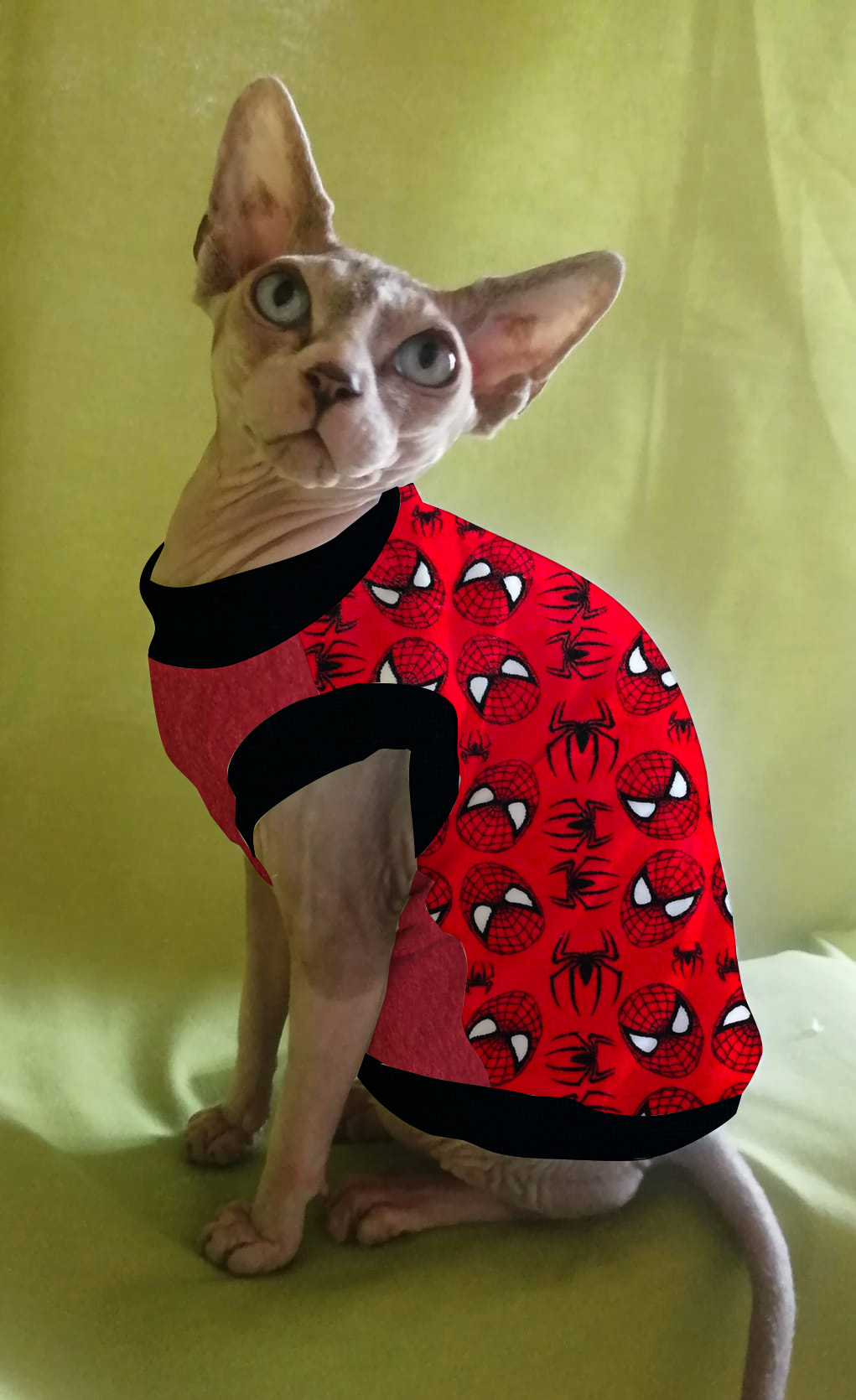 PILE CINIGLIATO SPIDERMAN FONDO ROSSO